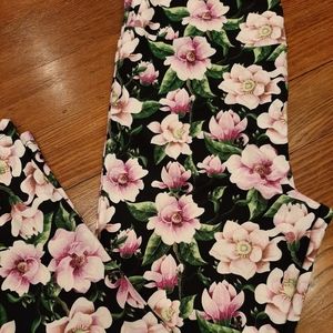 Lularoe TC Leggings Brand New